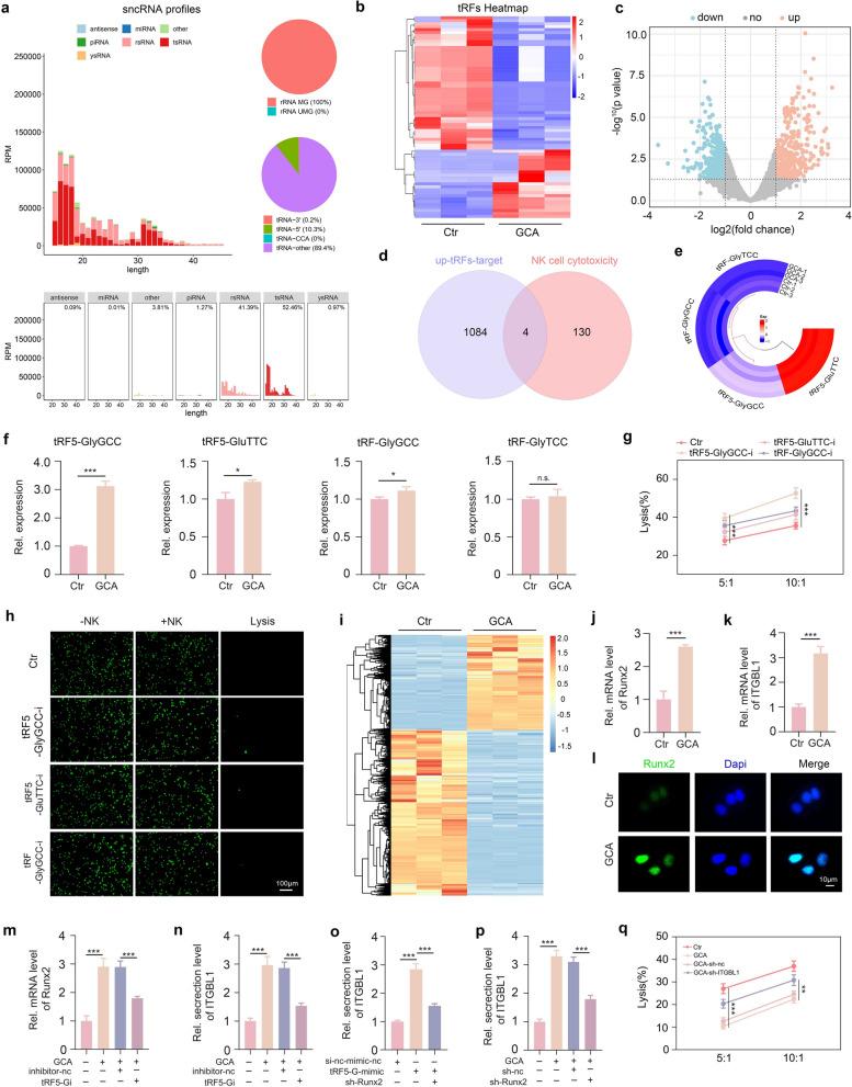 https://cdn.ncbi.nlm.nih.gov/pmc/blobs/87a5/11809039/f206bd067d15/12951_2025_3133_Fig3_HTML.jpg