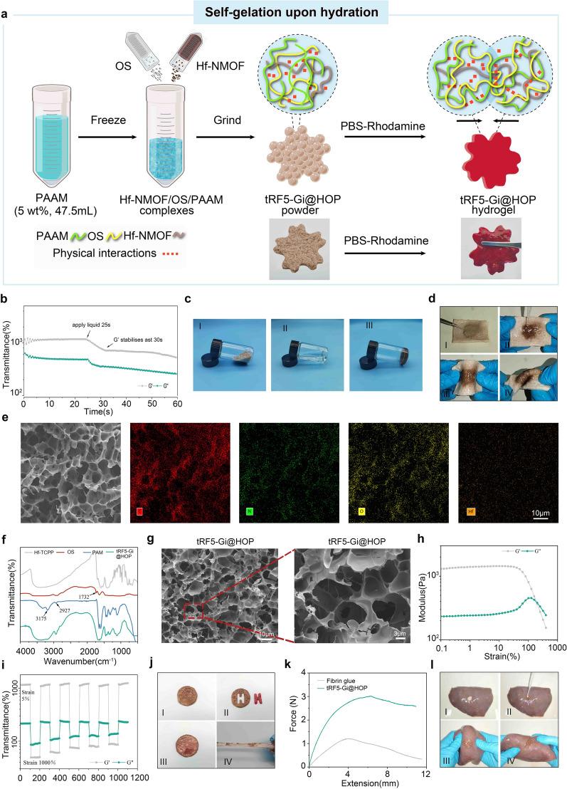 https://cdn.ncbi.nlm.nih.gov/pmc/blobs/87a5/11809039/fcc068608a60/12951_2025_3133_Fig7_HTML.jpg