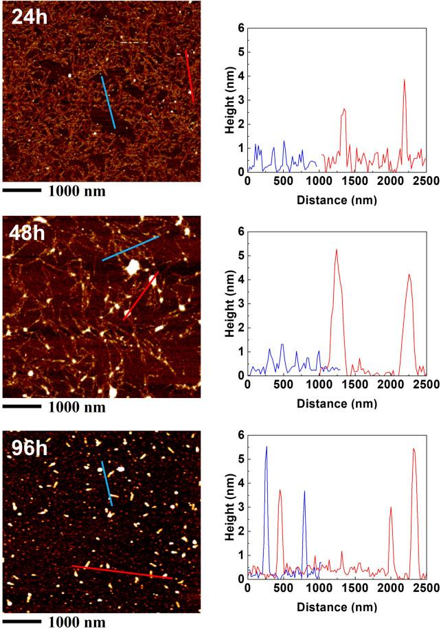 https://cdn.ncbi.nlm.nih.gov/pmc/blobs/87a7/12058734/f6d30d2ef43b/fbioe-13-1587546-g009.jpg