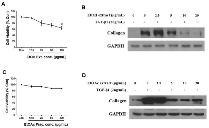 https://cdn.ncbi.nlm.nih.gov/pmc/blobs/87a7/7017110/14a8c96ec2c5/cells-09-00030-g001.jpg