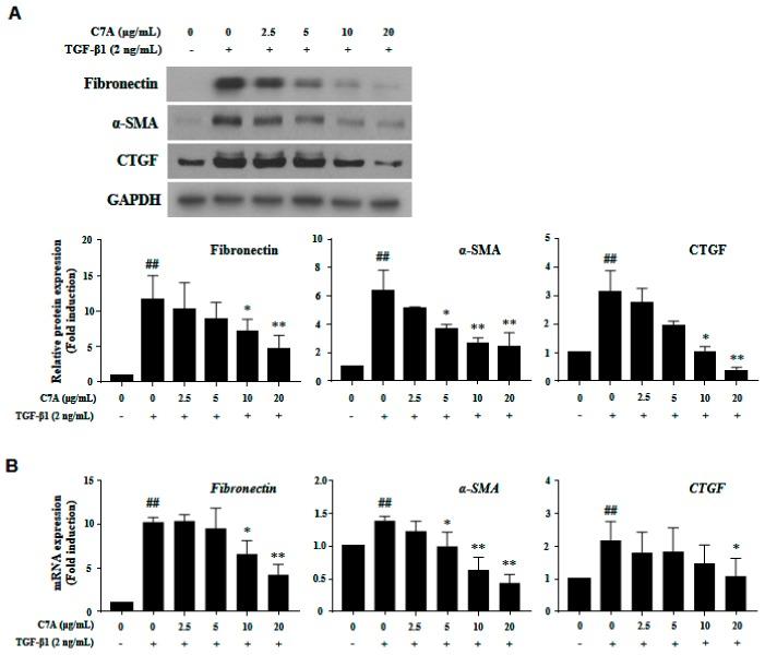 https://cdn.ncbi.nlm.nih.gov/pmc/blobs/87a7/7017110/66410400665c/cells-09-00030-g004.jpg