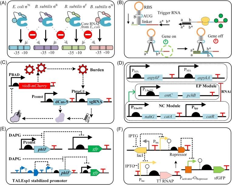 https://cdn.ncbi.nlm.nih.gov/pmc/blobs/87a8/11585282/2de3aff0e294/fuae026fig3.jpg