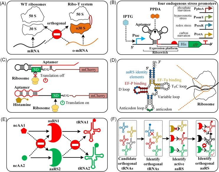 https://cdn.ncbi.nlm.nih.gov/pmc/blobs/87a8/11585282/4f853b73a9de/fuae026fig4.jpg