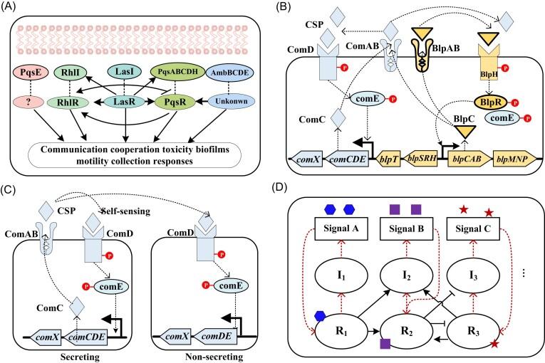 https://cdn.ncbi.nlm.nih.gov/pmc/blobs/87a8/11585282/97a167022819/fuae026fig1.jpg