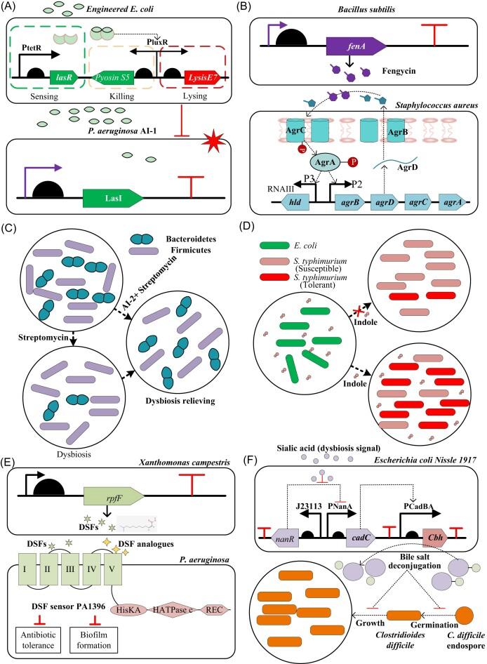 https://cdn.ncbi.nlm.nih.gov/pmc/blobs/87a8/11585282/bd080f230c7e/fuae026fig2.jpg