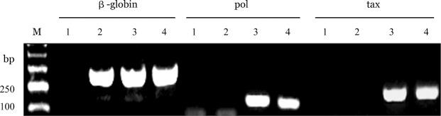 https://cdn.ncbi.nlm.nih.gov/pmc/blobs/87a8/7348501/370976e786f7/cjh-37-12-1027-g001.jpg