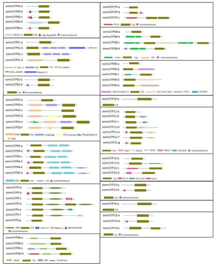 https://cdn.ncbi.nlm.nih.gov/pmc/blobs/87a9/7168621/27a16960afe9/pathogens-09-00024-g001.jpg