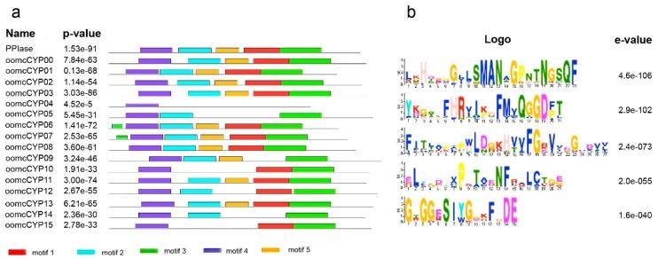 https://cdn.ncbi.nlm.nih.gov/pmc/blobs/87a9/7168621/9b6818ac1705/pathogens-09-00024-g002.jpg