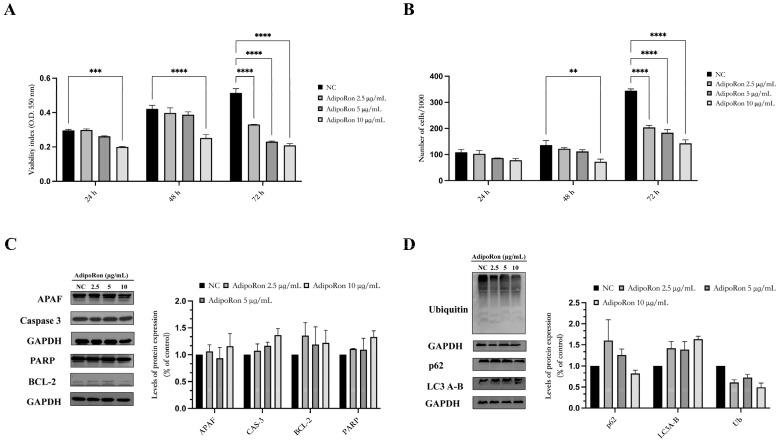 https://cdn.ncbi.nlm.nih.gov/pmc/blobs/87aa/10527421/dff4c282ecd8/biomedicines-11-02585-g002.jpg