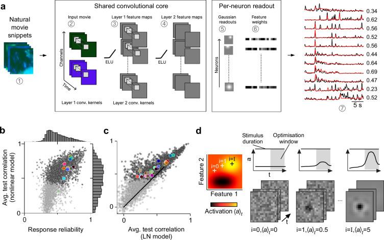 https://cdn.ncbi.nlm.nih.gov/pmc/blobs/87ab/11452179/4bf939062de9/elife-86860-fig2.jpg