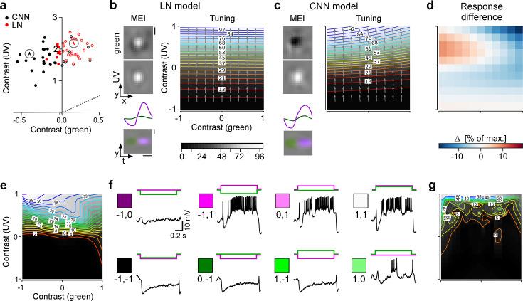 https://cdn.ncbi.nlm.nih.gov/pmc/blobs/87ab/11452179/8b0a0c753619/elife-86860-fig6.jpg