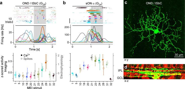 https://cdn.ncbi.nlm.nih.gov/pmc/blobs/87ab/11452179/aeb6687f200d/elife-86860-fig5.jpg