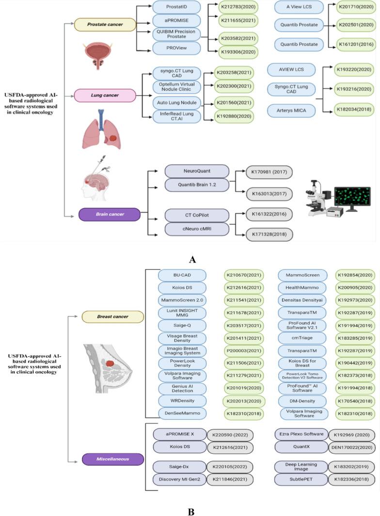 https://cdn.ncbi.nlm.nih.gov/pmc/blobs/87ab/12061837/f299f2da8c21/12672_2025_2469_Fig4_HTML.jpg