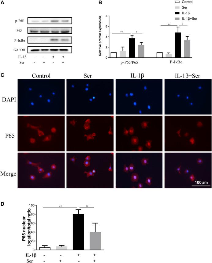 https://cdn.ncbi.nlm.nih.gov/pmc/blobs/87ab/8311523/1986a00c3b6d/fphar-12-687033-g005.jpg