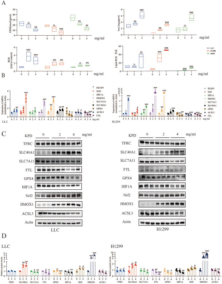https://cdn.ncbi.nlm.nih.gov/pmc/blobs/87ac/11532862/fe13fb572c42/gr3.jpg
