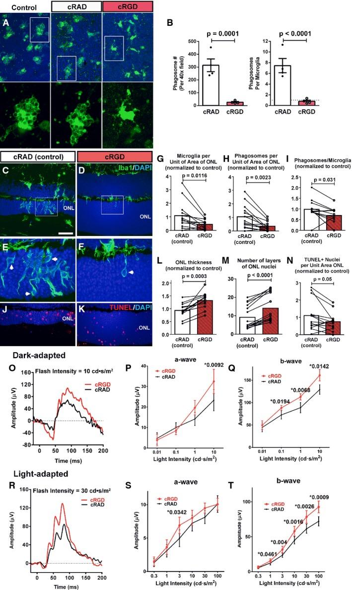 https://cdn.ncbi.nlm.nih.gov/pmc/blobs/87af/4568951/1bc5cc9028cc/emmm0007-1179-f7.jpg