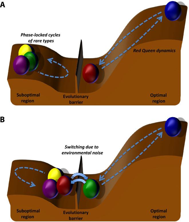 https://cdn.ncbi.nlm.nih.gov/pmc/blobs/87af/4783124/73bd2f01dceb/1501548-F4.jpg