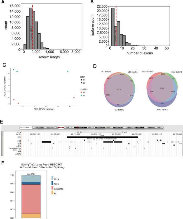 https://cdn.ncbi.nlm.nih.gov/pmc/blobs/87b0/10366530/9228f03619f6/LSA-2020-00641_FigS1.jpg