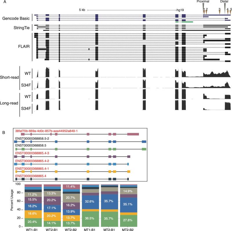 https://cdn.ncbi.nlm.nih.gov/pmc/blobs/87b0/10366530/a34fb38dbc6b/LSA-2020-00641_FigS4.jpg