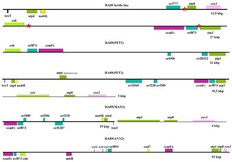 https://cdn.ncbi.nlm.nih.gov/pmc/blobs/87b1/6918226/0687c22fa8d1/plants-08-00439-g005.jpg