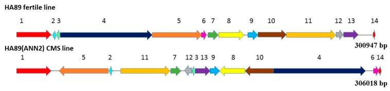 https://cdn.ncbi.nlm.nih.gov/pmc/blobs/87b1/6918226/3e2d00cac065/plants-08-00439-g002.jpg