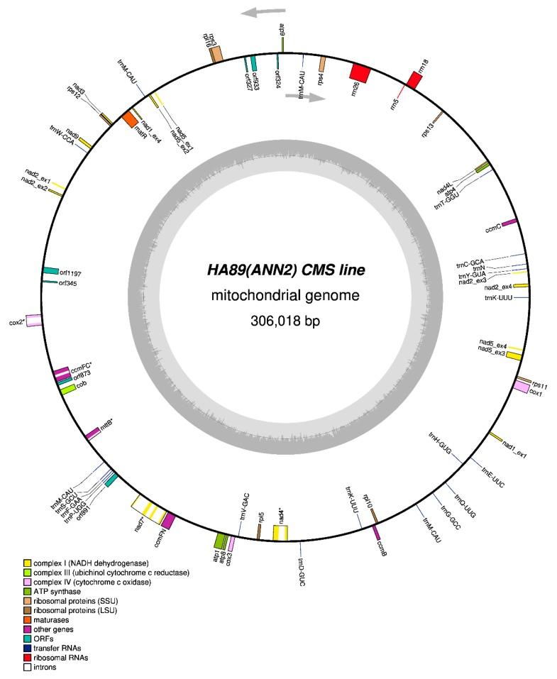 https://cdn.ncbi.nlm.nih.gov/pmc/blobs/87b1/6918226/fbc31a1d6ede/plants-08-00439-g001.jpg
