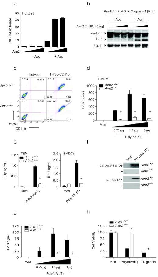 https://cdn.ncbi.nlm.nih.gov/pmc/blobs/87b2/2887480/22d251f6b432/nihms185912f2.jpg