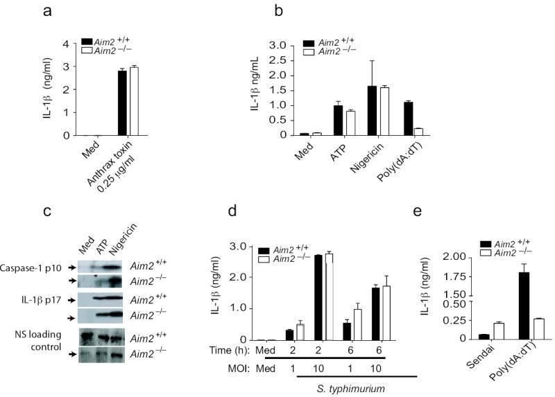 https://cdn.ncbi.nlm.nih.gov/pmc/blobs/87b2/2887480/64cbeca12096/nihms185912f3.jpg