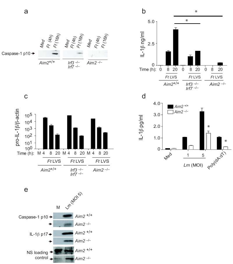 https://cdn.ncbi.nlm.nih.gov/pmc/blobs/87b2/2887480/68cd6ffbb70d/nihms185912f5.jpg
