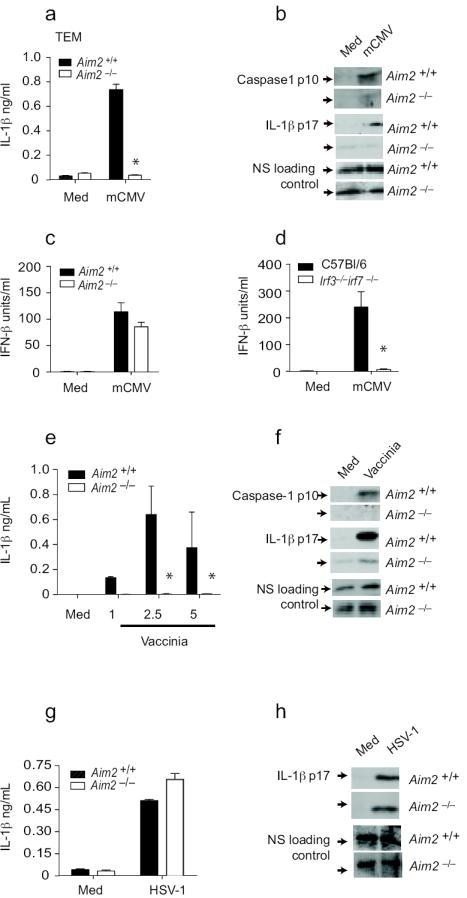 https://cdn.ncbi.nlm.nih.gov/pmc/blobs/87b2/2887480/e8435f344e69/nihms185912f6.jpg