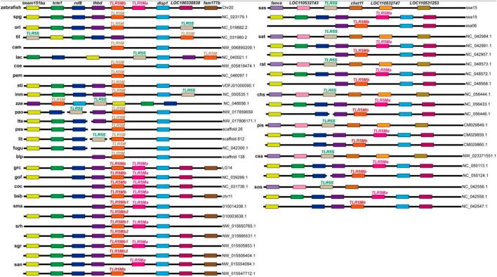 https://cdn.ncbi.nlm.nih.gov/pmc/blobs/87b2/9857387/608a4150783d/fgene-13-1083578-g002.jpg