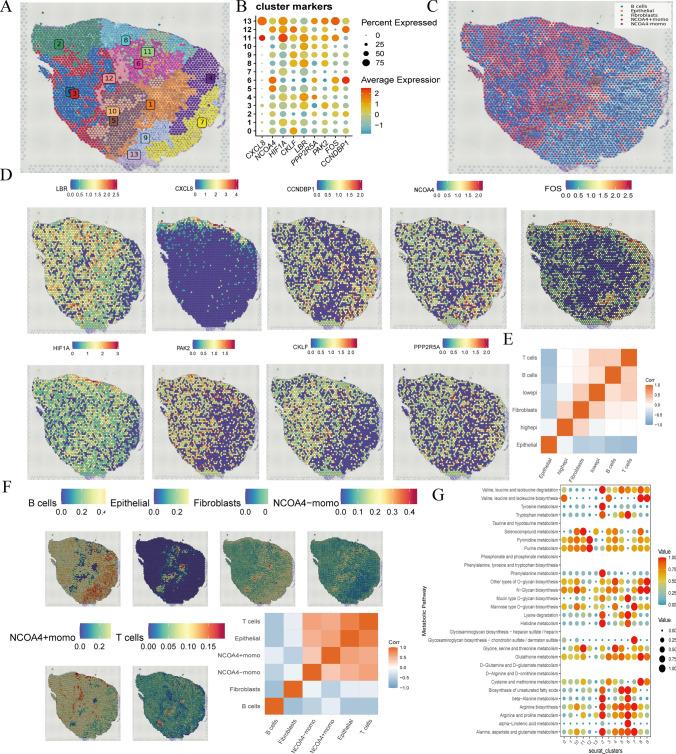 https://cdn.ncbi.nlm.nih.gov/pmc/blobs/87b4/11735723/26fd2101c96c/12672_2025_1769_Fig7_HTML.jpg