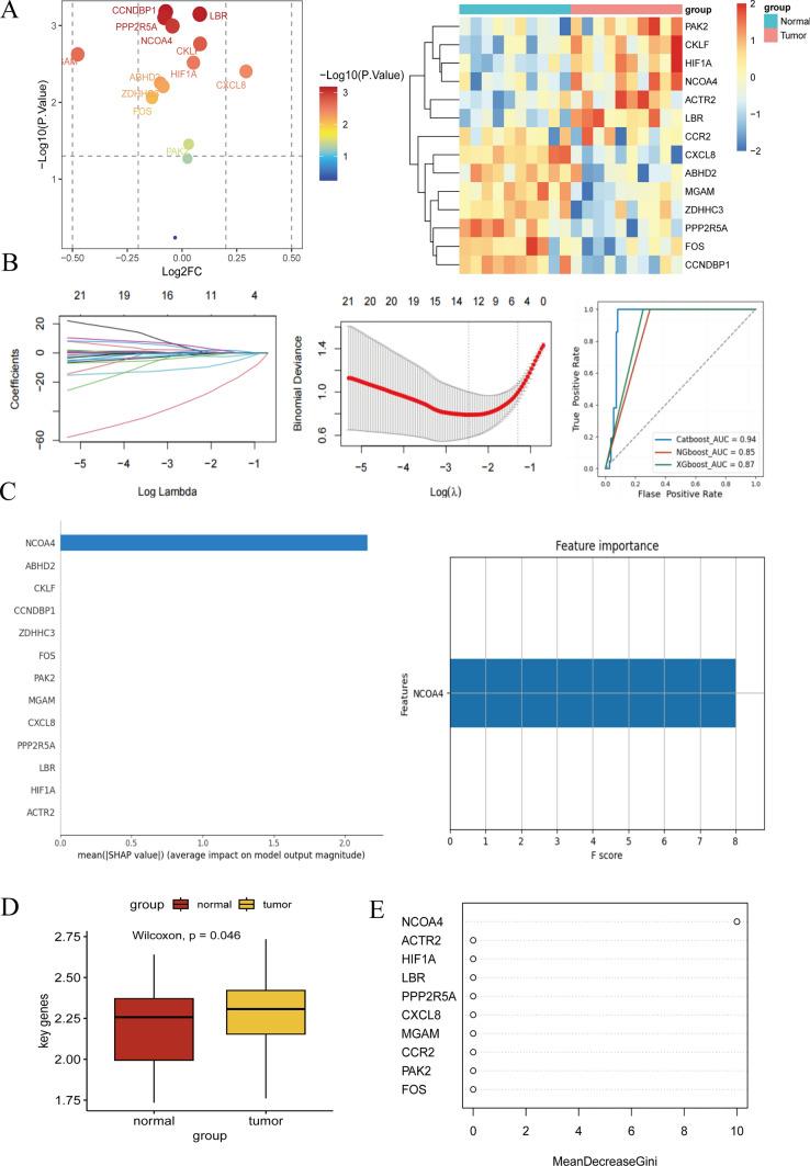 https://cdn.ncbi.nlm.nih.gov/pmc/blobs/87b4/11735723/3a53efcaa155/12672_2025_1769_Fig5_HTML.jpg