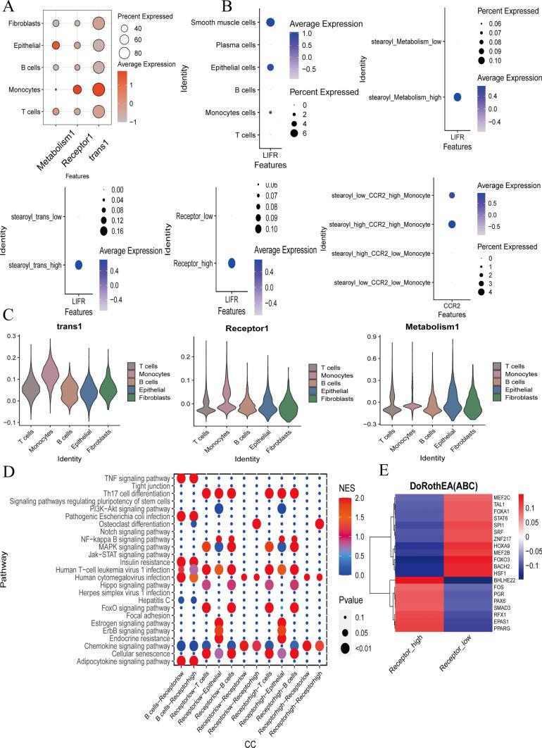 https://cdn.ncbi.nlm.nih.gov/pmc/blobs/87b4/11735723/5037cd810b3a/12672_2025_1769_Fig4_HTML.jpg