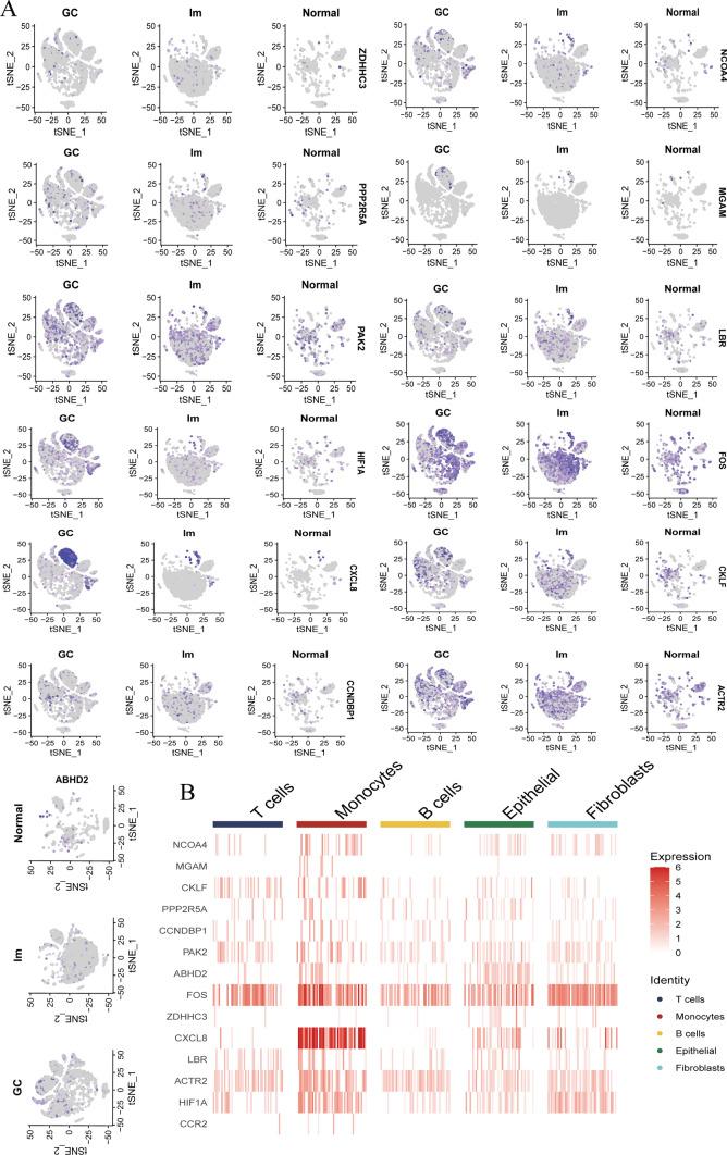 https://cdn.ncbi.nlm.nih.gov/pmc/blobs/87b4/11735723/703134624c6d/12672_2025_1769_Fig6_HTML.jpg