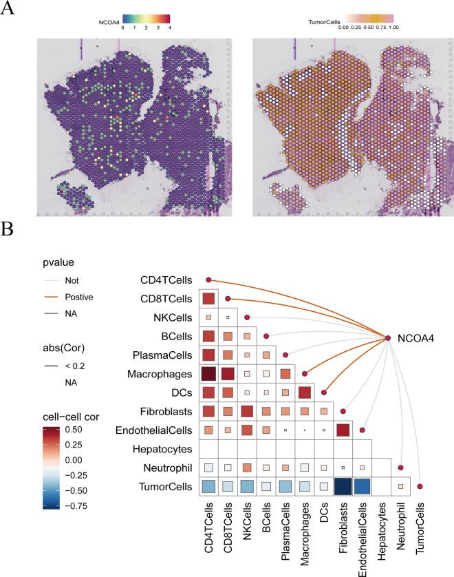 https://cdn.ncbi.nlm.nih.gov/pmc/blobs/87b4/11735723/a60541ee3164/12672_2025_1769_Fig8_HTML.jpg