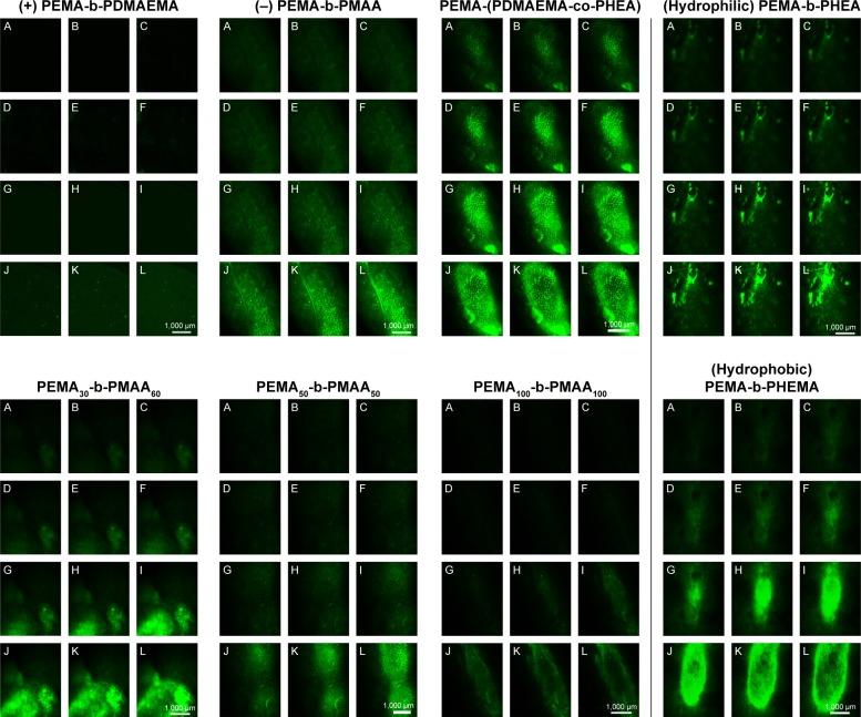 https://cdn.ncbi.nlm.nih.gov/pmc/blobs/87b4/5960240/63ec52c6bff7/ijn-13-2839Fig7.jpg