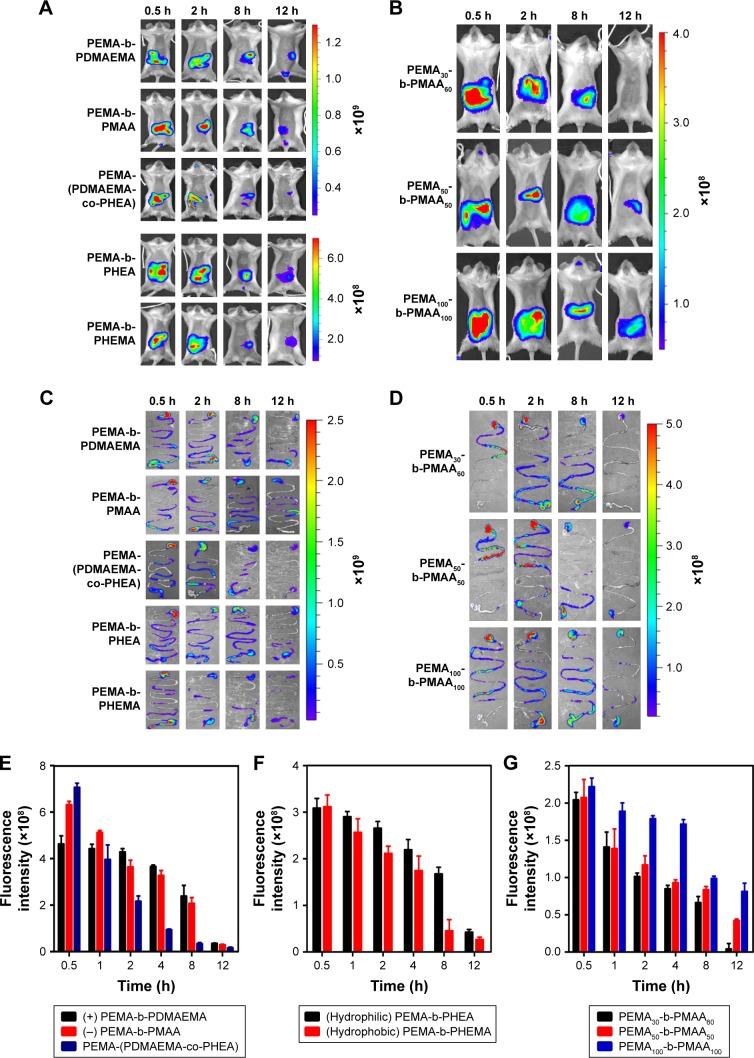 https://cdn.ncbi.nlm.nih.gov/pmc/blobs/87b4/5960240/721203e5df45/ijn-13-2839Fig8.jpg