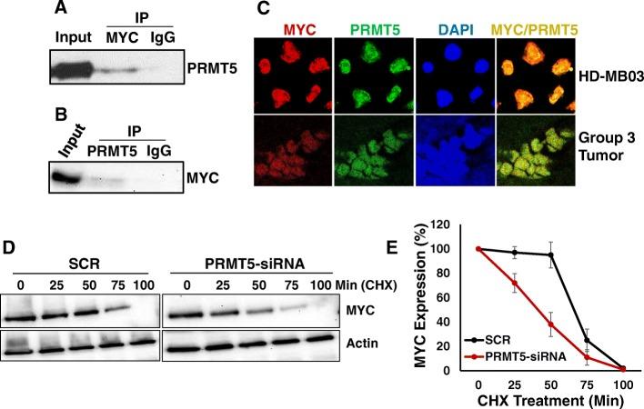 https://cdn.ncbi.nlm.nih.gov/pmc/blobs/87b7/6836472/ca1910070353/12885_2019_6291_Fig4_HTML.jpg