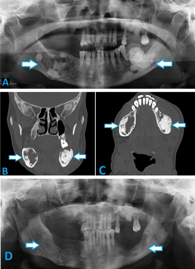 https://cdn.ncbi.nlm.nih.gov/pmc/blobs/87b8/12058939/43ce6f274dc1/10006_2025_1394_Fig2_HTML.jpg