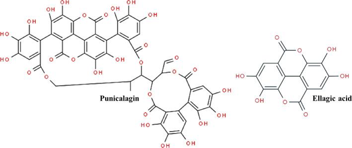 https://cdn.ncbi.nlm.nih.gov/pmc/blobs/87b8/7590315/48a81ecdfa4d/FSN3-8-5483-g001.jpg