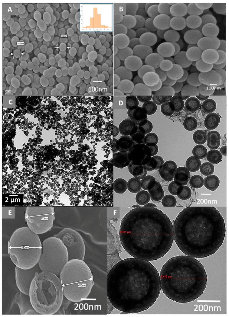 https://cdn.ncbi.nlm.nih.gov/pmc/blobs/87b8/7699838/df643cb176ef/polymers-12-02749-g001.jpg