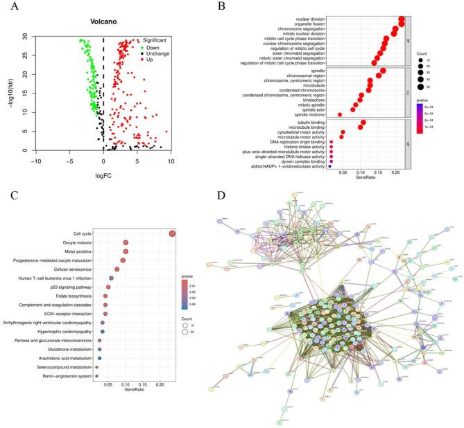 https://cdn.ncbi.nlm.nih.gov/pmc/blobs/87bb/11963273/82521bb68a87/12885_2025_13984_Fig2_HTML.jpg