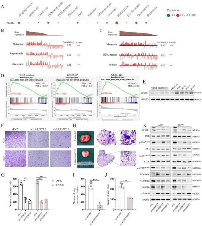 https://cdn.ncbi.nlm.nih.gov/pmc/blobs/87bb/11963273/8a1870743a6c/12885_2025_13984_Fig9_HTML.jpg