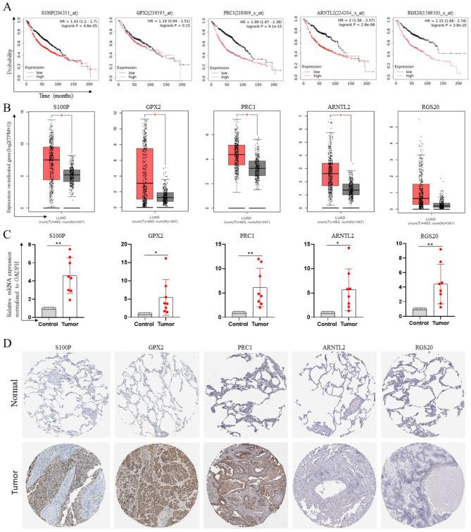 https://cdn.ncbi.nlm.nih.gov/pmc/blobs/87bb/11963273/b03300c54c2a/12885_2025_13984_Fig5_HTML.jpg