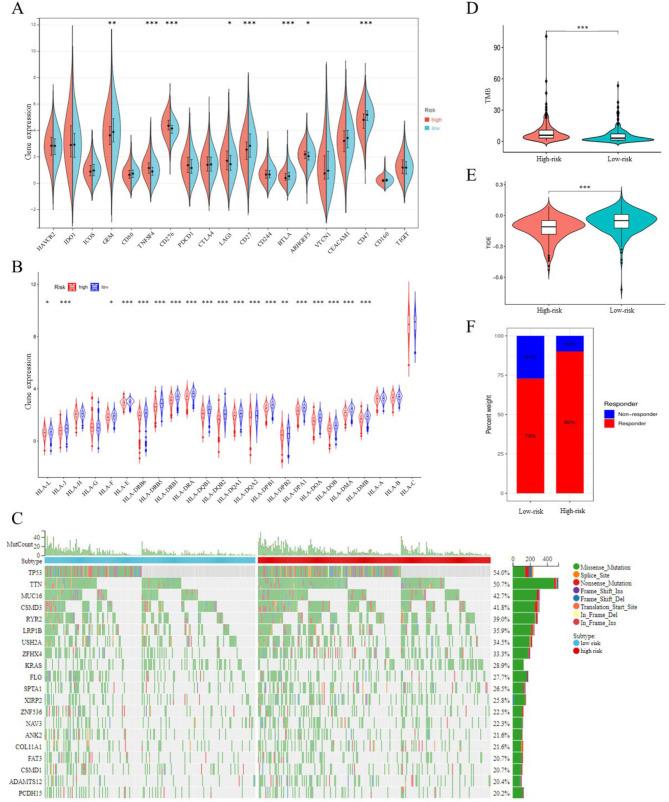 https://cdn.ncbi.nlm.nih.gov/pmc/blobs/87bb/11963273/ff38f87301ea/12885_2025_13984_Fig8_HTML.jpg