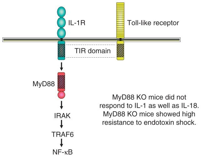 https://cdn.ncbi.nlm.nih.gov/pmc/blobs/87bd/3524297/5984d2d74b5b/pjab-85-143-g007.jpg