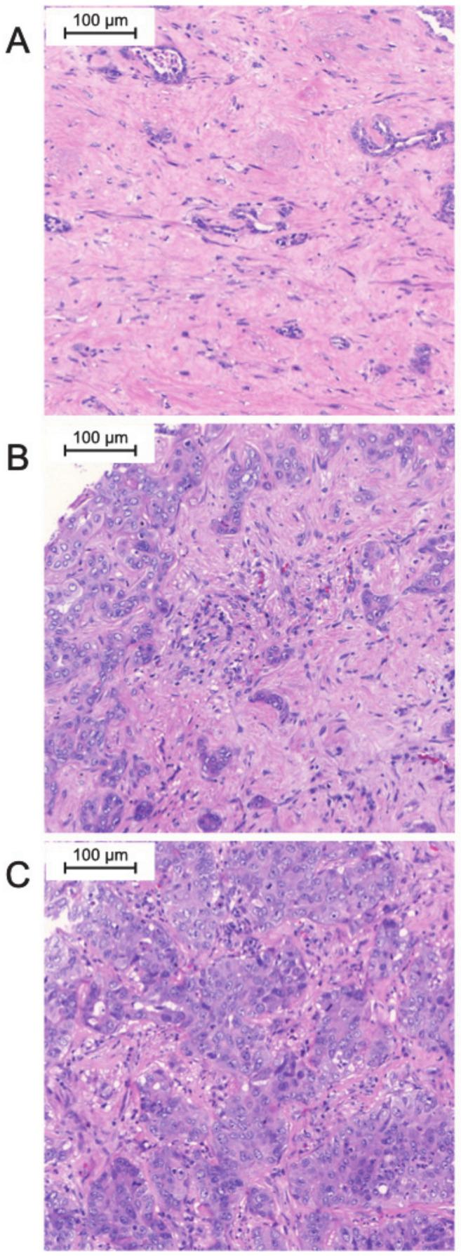 https://cdn.ncbi.nlm.nih.gov/pmc/blobs/87bd/8004909/79a0e298a1b0/jpm-11-00233-g001.jpg