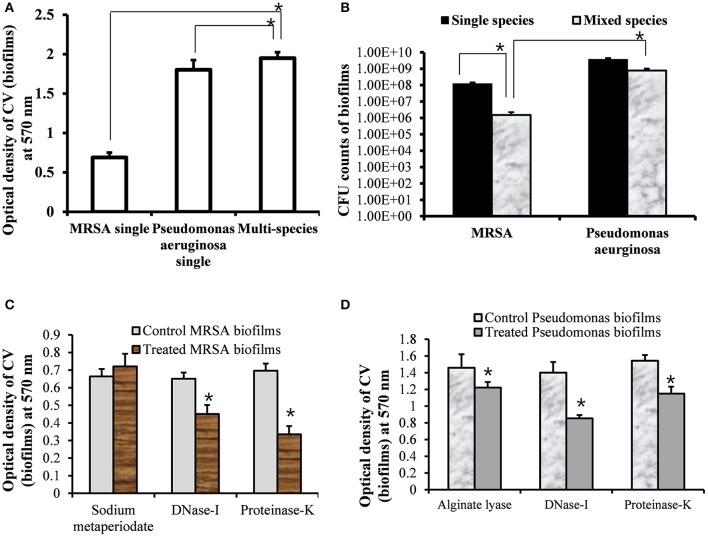 https://cdn.ncbi.nlm.nih.gov/pmc/blobs/87be/5394157/9c72610aef49/fcimb-07-00125-g0001.jpg