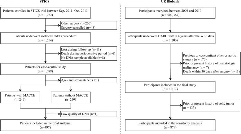 https://cdn.ncbi.nlm.nih.gov/pmc/blobs/87c2/12124002/47940f603ba9/12916_2025_4140_Fig1_HTML.jpg